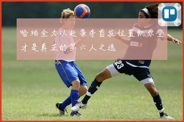 哈珀全力以赴争夺首发位置凯尔登才是真正的第六人之选