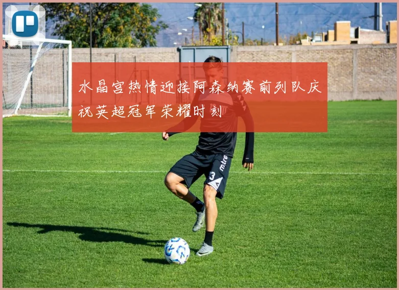 水晶宫热情迎接阿森纳赛前列队庆祝英超冠军荣耀时刻